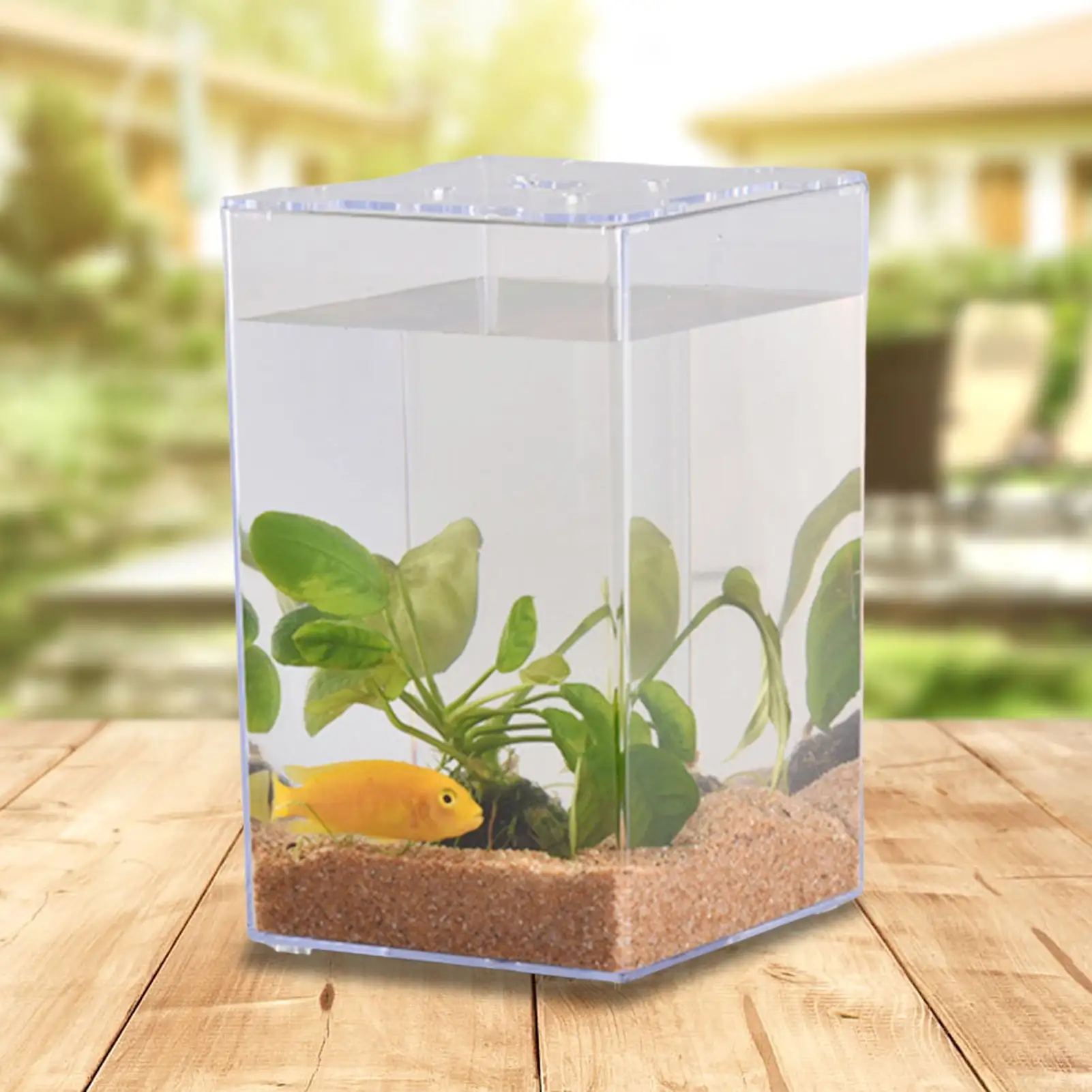 Kripyery Fish Tank with Lid Transparent Acrylic Fighting Fish Small Micro Landscape Tank for Home