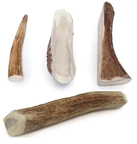 ELK ANTLER DOG DENTAL CHEWS Natural Way to Clean Your Dog's Teeth Bulk Too!(Small - 4 to 5 1 Antler)