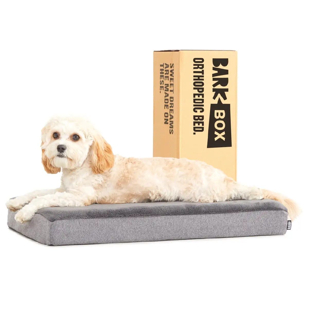 BARK Memory Foam Platform Dog Bed - Small