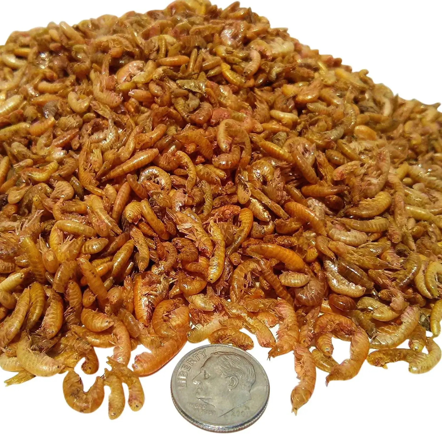 Aquatic Foods Freeze Dried Gammarus. Great for smaller Tropicals. Marines. small Birds. Reptiles - 1/2-lb