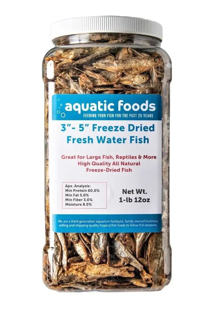 3- 5 Fresh Water Freeze Dried Fish for Piranha. Large Fish. Turtles. Cats. Sugar Glider. Marmosets. Chinchillas. Squirrels. Hamsters??1-lb & 12oz Lg Jar