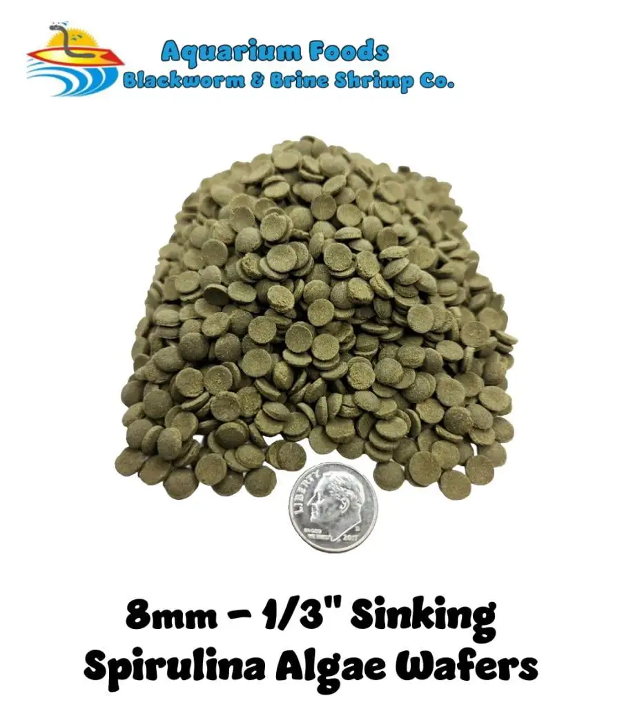 8mm-1/3 Spirulina Algae Sinking Wafers. Tropical Fish Food...1-lb