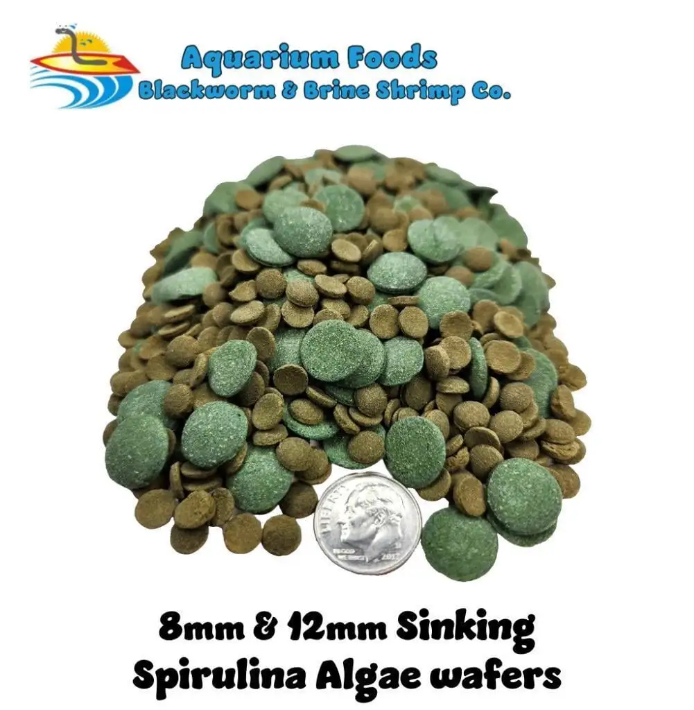 8mm & 12mm Sinking Spirulina Algae Wafers Tropical Fish Food - Mixed Sizes...1-lb