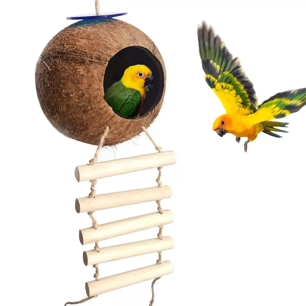 AURORA TRADE Hanging Coconut Bird House with Ladder.Natural Coconut Fiber Shell Bird Nest for Parrot Parakeet Lovebird Finch Canary.Coconut Hide Bird Swing Toys for Hamster.Bird Cage Accessories