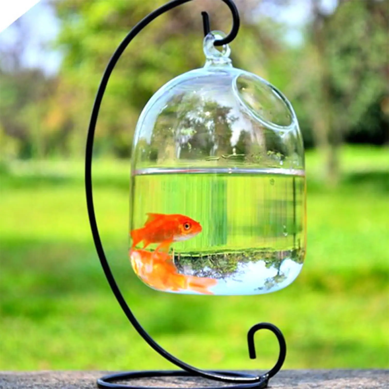 Adzgya Bird Feeders Table Desk Hanging Fish Tank Bowl With Stand Glass Hanging Fish Bowl Mini Aquarium For Fish Home Decor 5.9x3.9 Inch Transparent