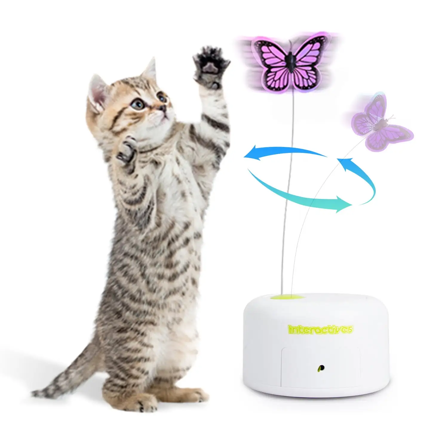 All For Paws Interactive Cat Butterfly Toy with Motion Sensor. Kitty Flutter Bug Toy Includes One Butterfly Replacement