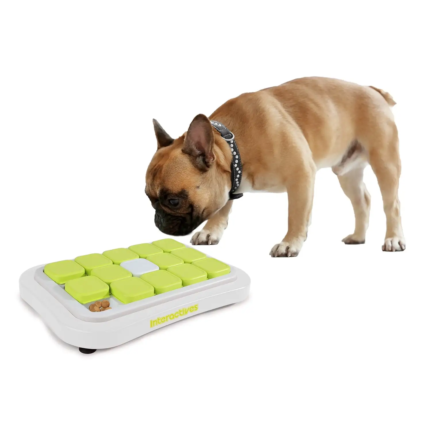 All For Paws Interactive Dog Puzzle Toy & Slow Treat Feeder for IQ Training & Mental Stimulation - Starter