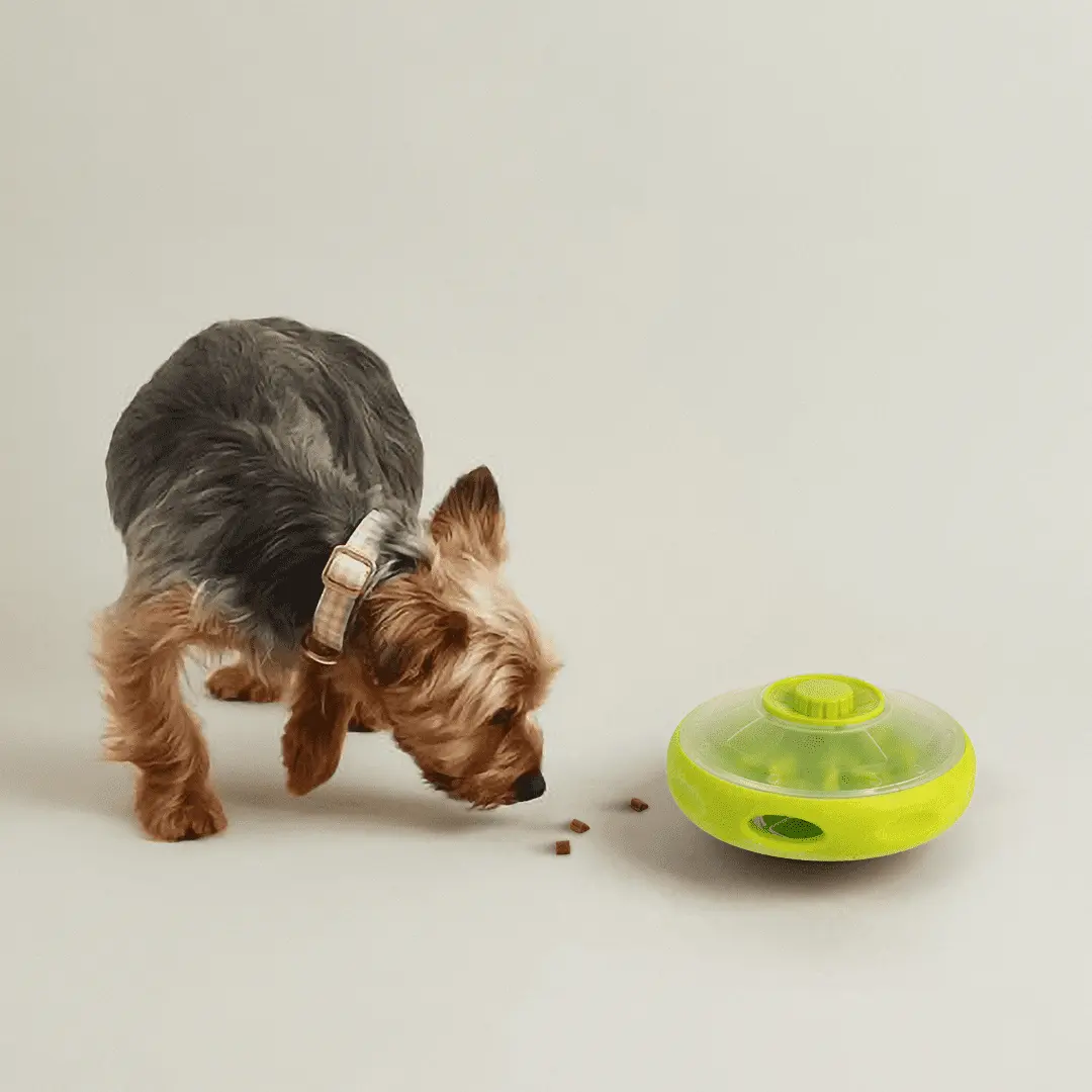 All for Paws Interactive Dog Treat Dispenser & Puzzle Slow Feeder for IQ Training & Mental Stimulation. UFO