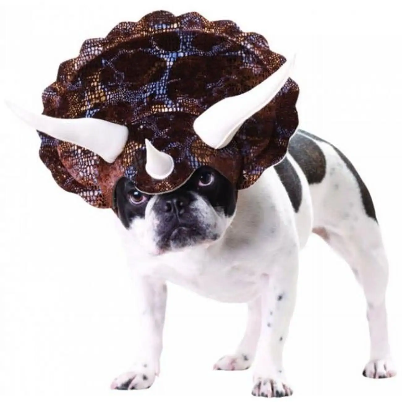 Animal Planet Triceratops Dog Costume