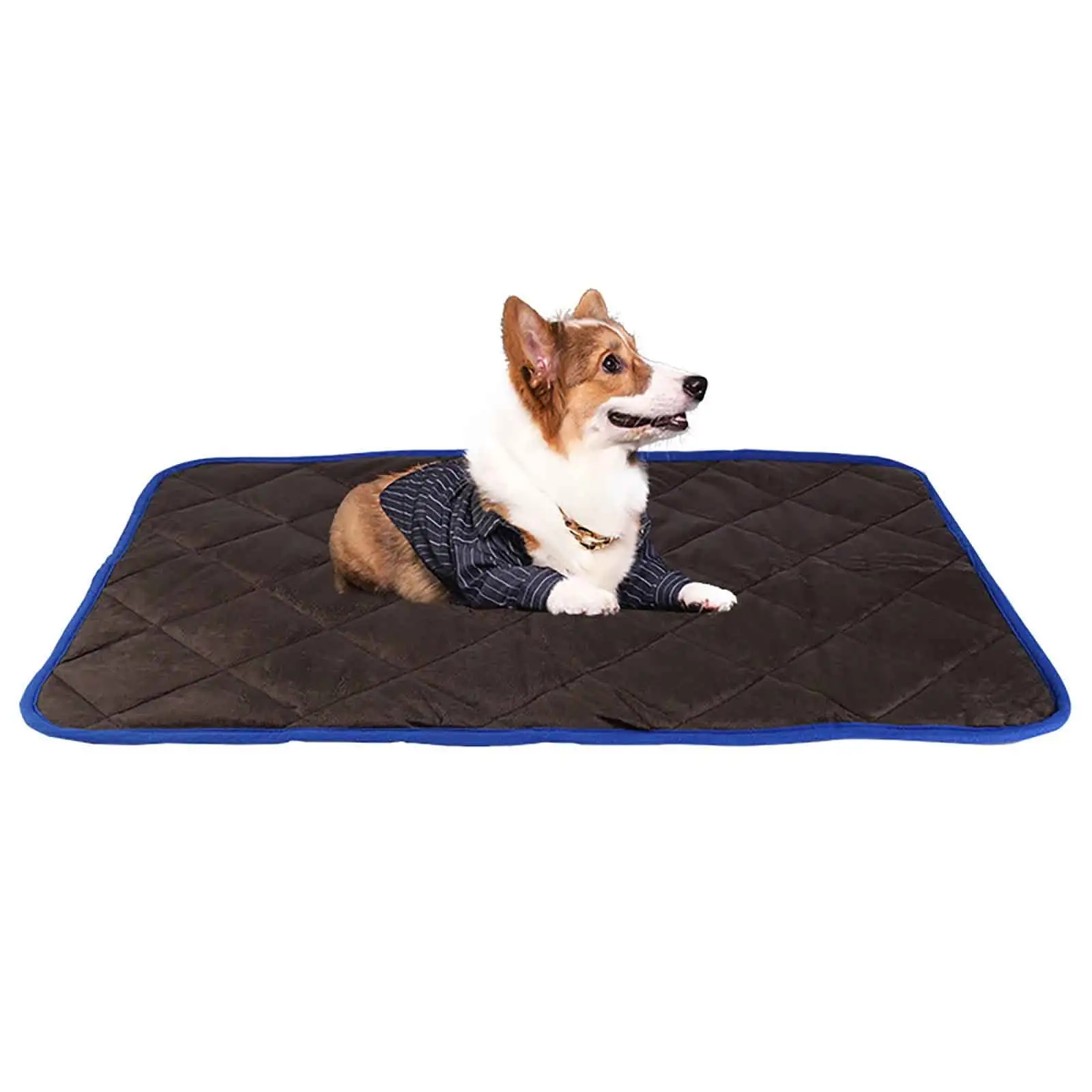 Apmemiss Cat Bed Clearance Dog Crate Pad Ultra Soft Dog Bed Mat Washable Pet Kennel Bed with Non-Slip Bottom Fluffy Plush Sleeping Mat for Large Medium Small Dogs Christmas Deals Clearance