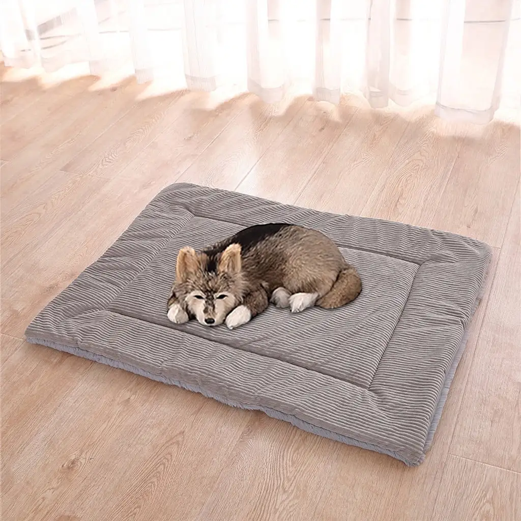 Apmemiss Clearance Small Dog Bed - Fluffy Dog Bed. Dog Bed for Small Size Dog. Puppy Bed Washable. Plush Dog Crate Pad. Soft Pet Bed. Warm Doggy Kennel Mat. Waterproof and Anti-Slip Bottom. L