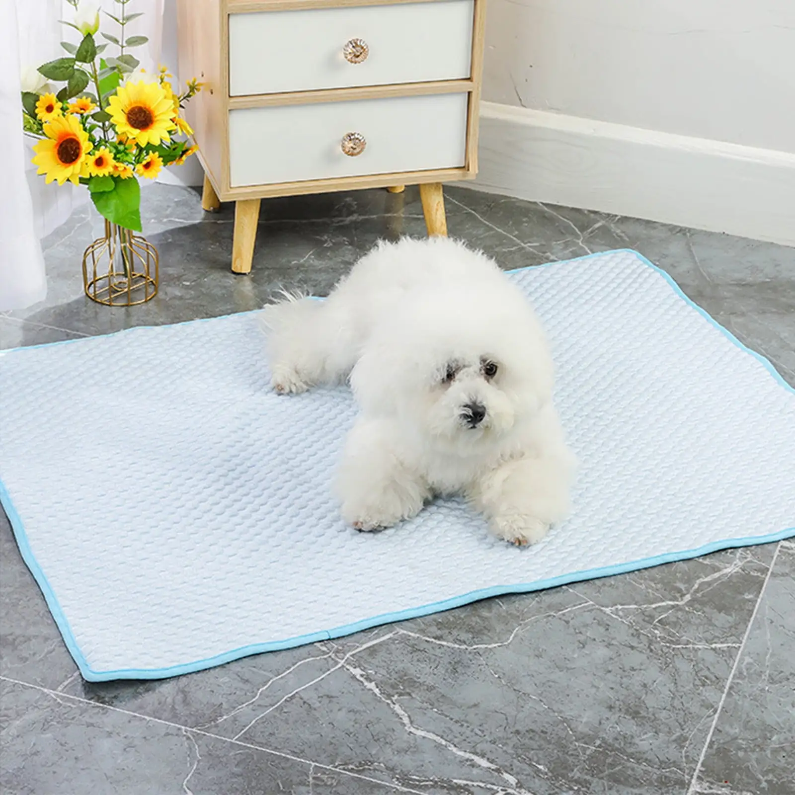 Apmemiss Room Decor Clearance Summer Pet Ice Pad Dog Ice Silk Mat Pad Summer C-ooling C-ooling Dog Kennel Litter Ice B-ean Pet Pad Christmas Clearance