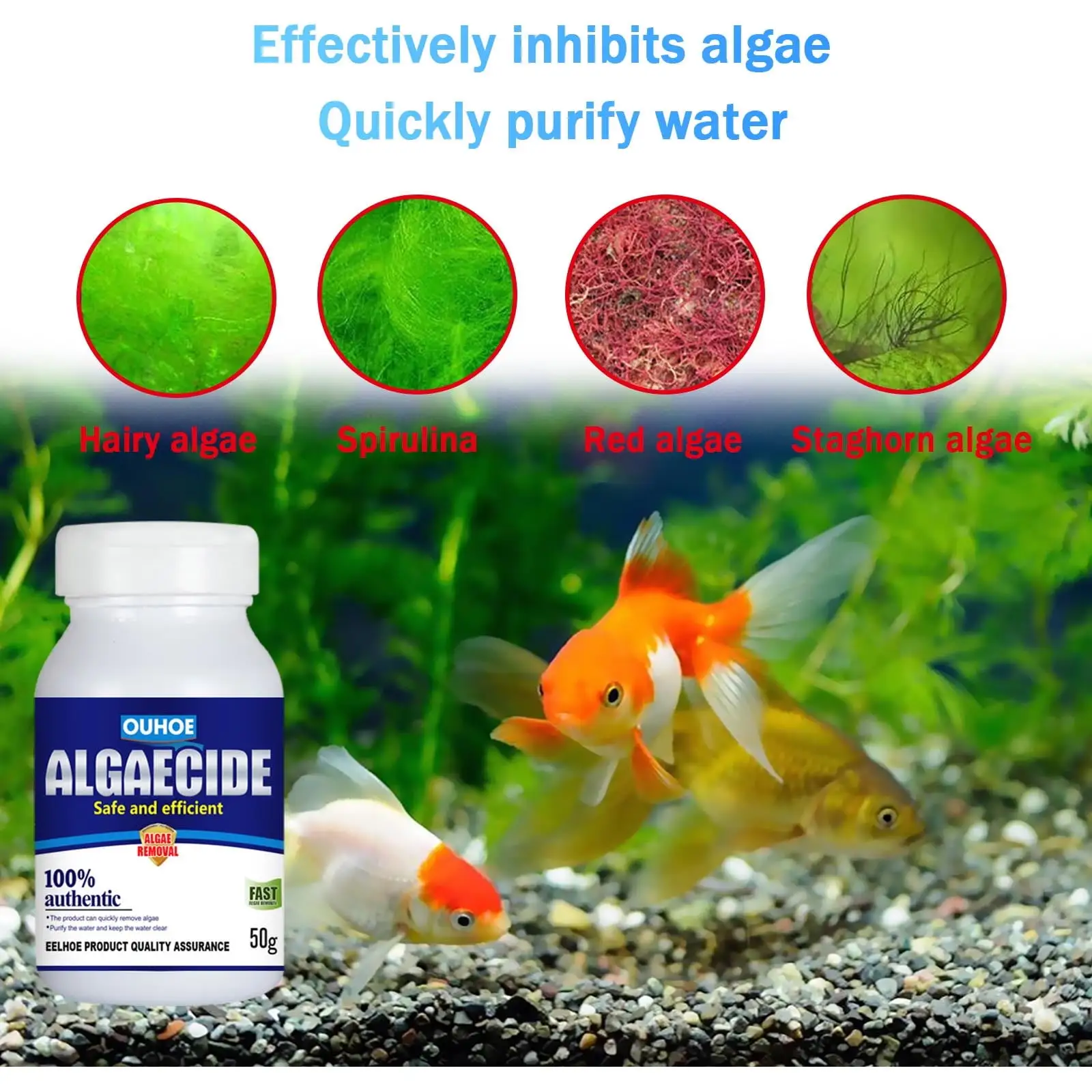 Aquarium Algaecide Algae Control Algae Detergent Purification Water 50ml