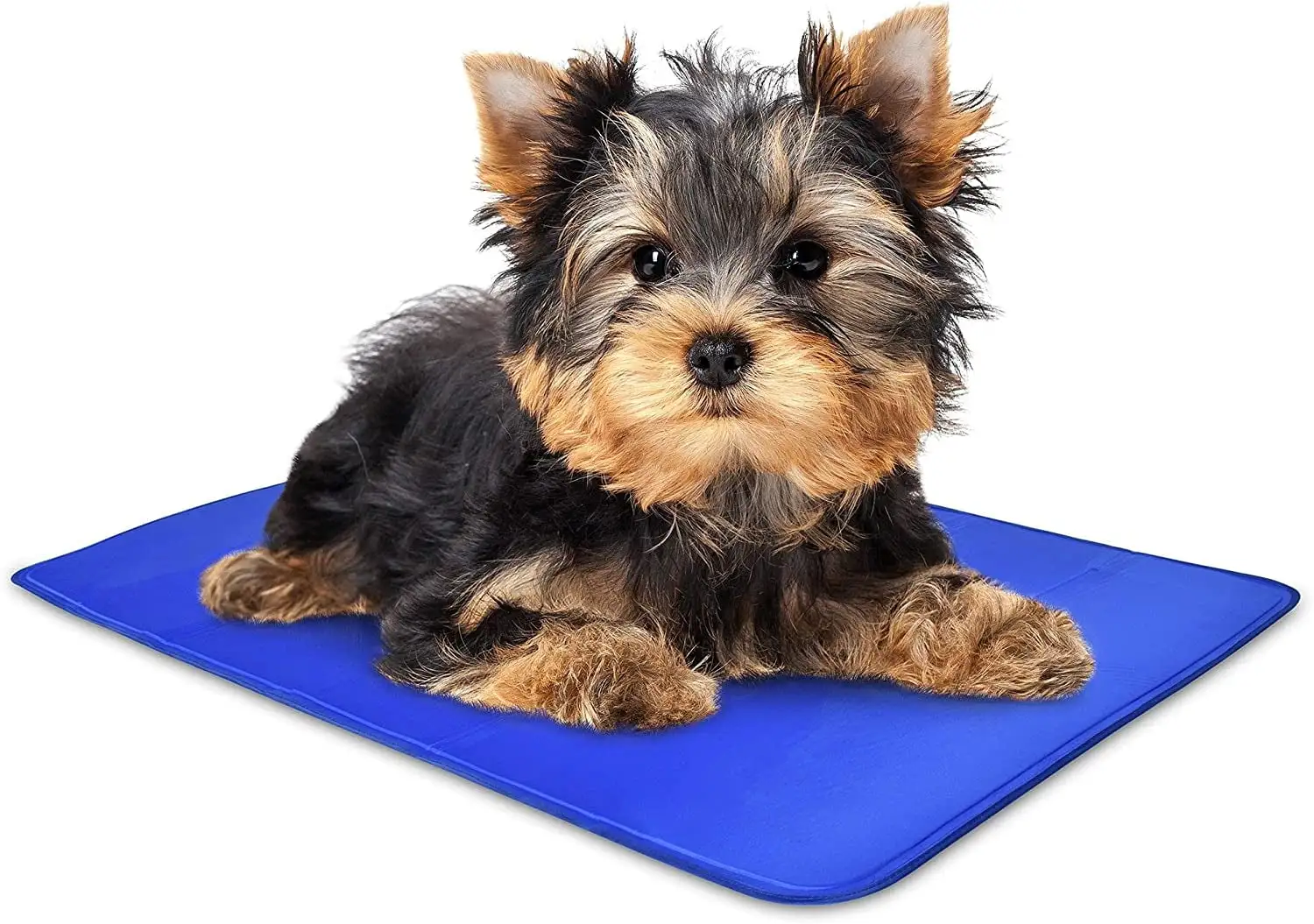 Arf Pets. Dog Cooling Mat .Cats & Small Animals. Mat Pad For Kennels & Beds