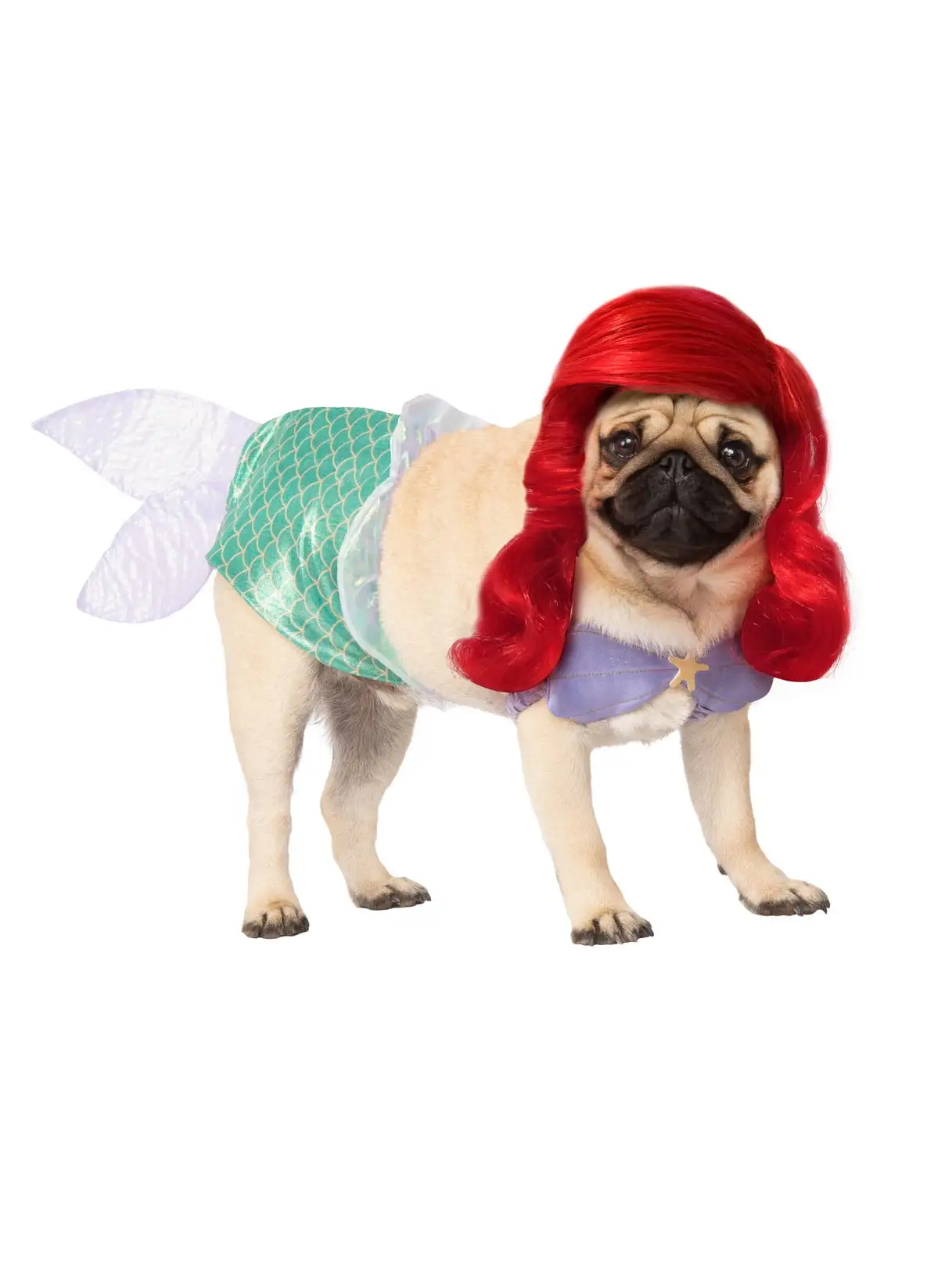 Ariel Pet Costume