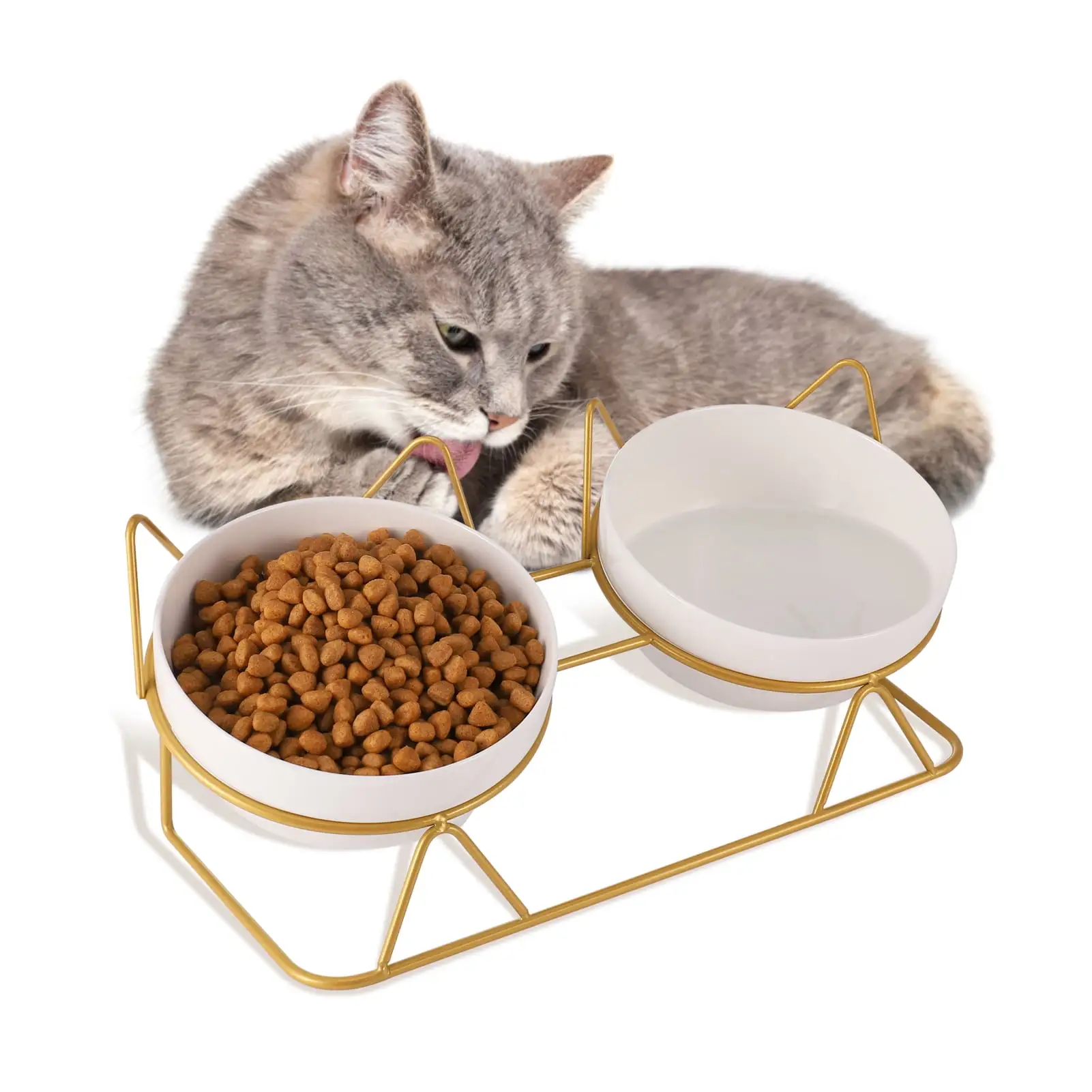 Armscye Upgrade Elevated Cat Bowls Clearance!. Double Ceramic Cat Bowls for Food and Water 15 Degree Tilted Raised With Stand. Elevated Cat Dish Feeder Anti Vomiting Perfect for Puppy Cat.Small Dog(Double Bowl)