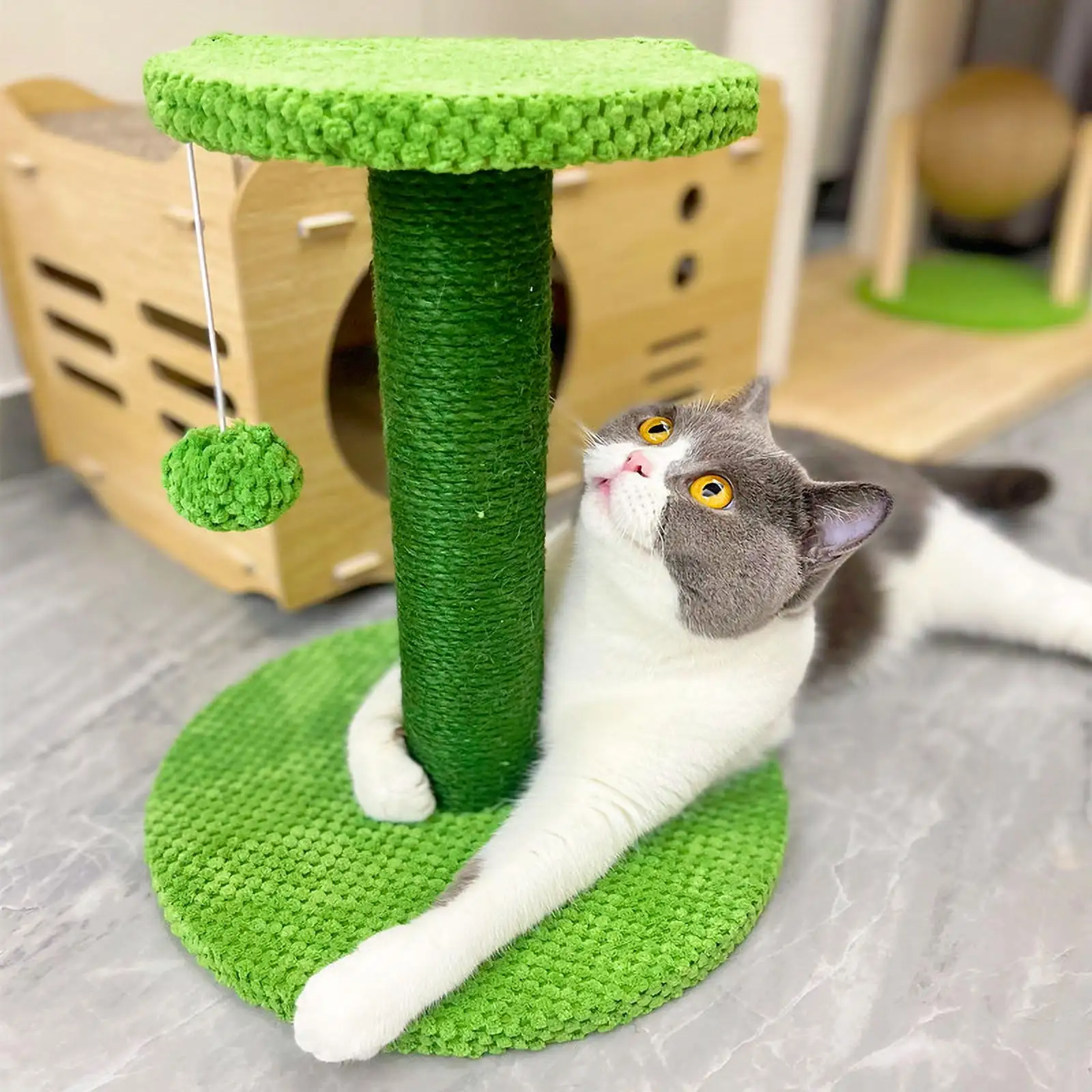 AsFrost Cat Scratching Post.Sisal Cat Scratcher with Cat Dangling Ball Toy Green