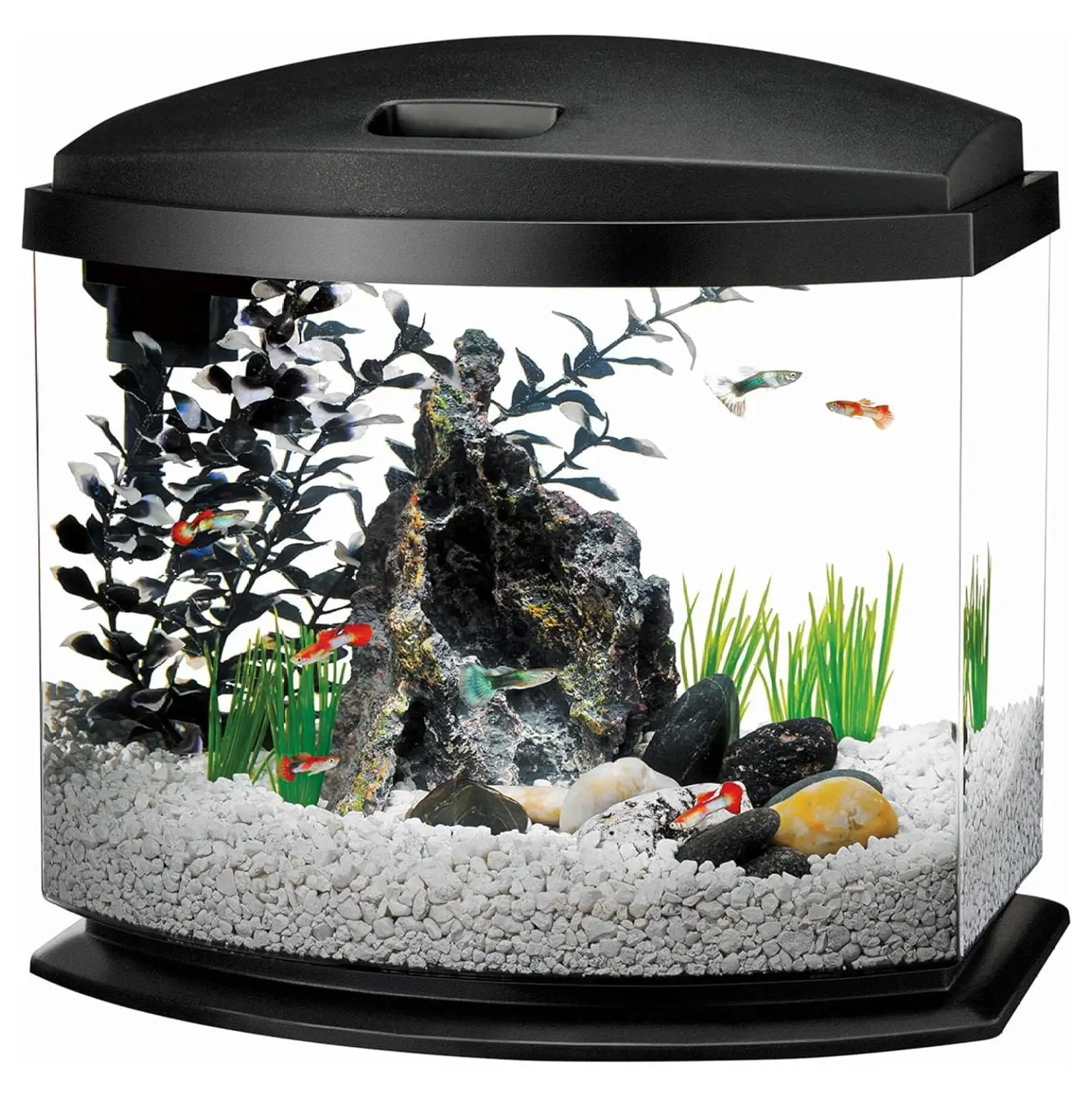 BIN24 LED Minibow Aquarium Starter Kit with LED Lighting. 5 Gallon. Black