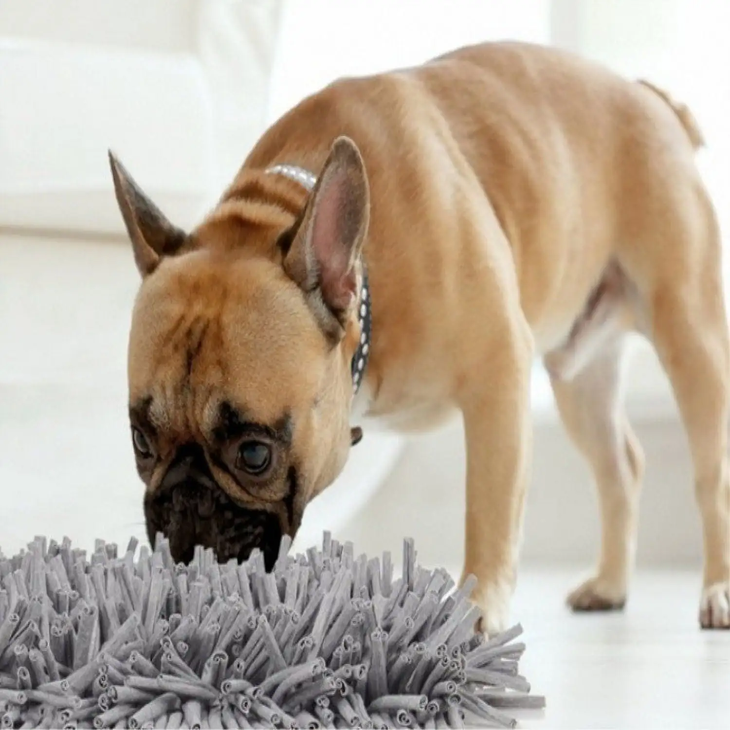 BOLUOYI National Pet Month Dog Snuffle Mat Feeding Mat for Dogs Encourages Natural Foraging Skills