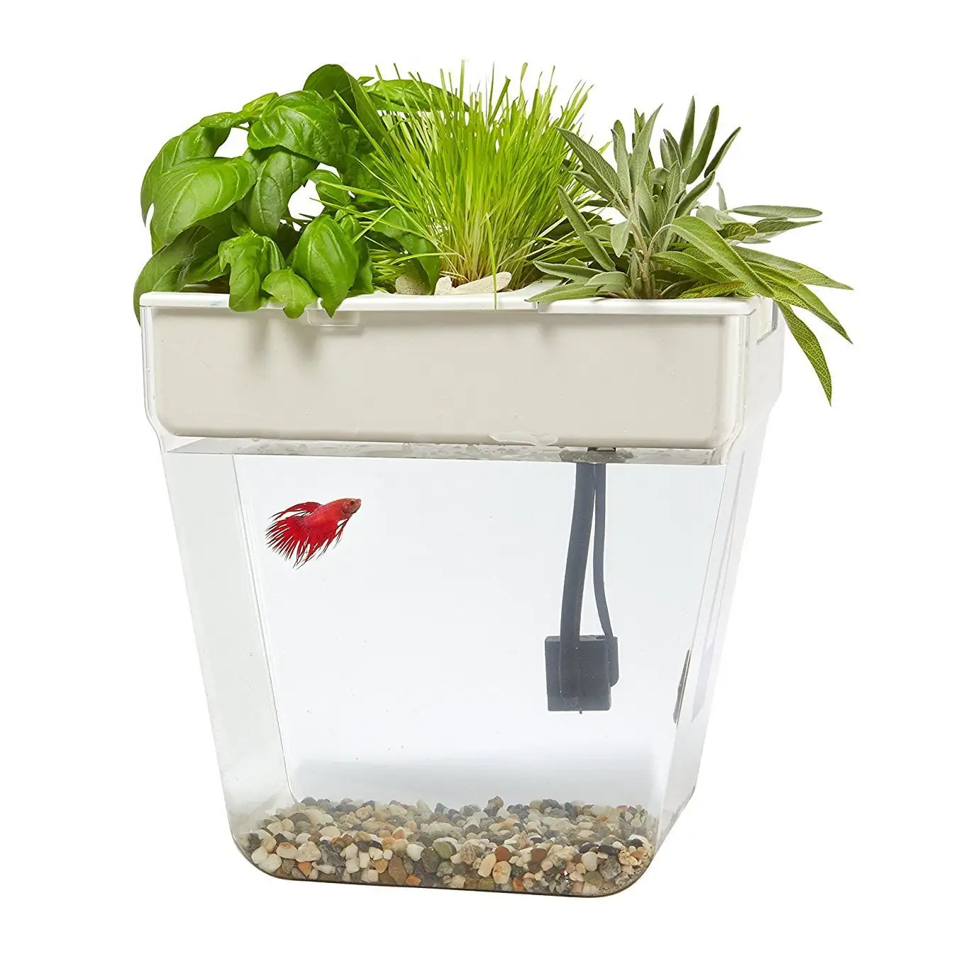 Back to the Roots 3 Gal. Self-Cleaning Aquaponic Water Garden Fish Tank Aquarium