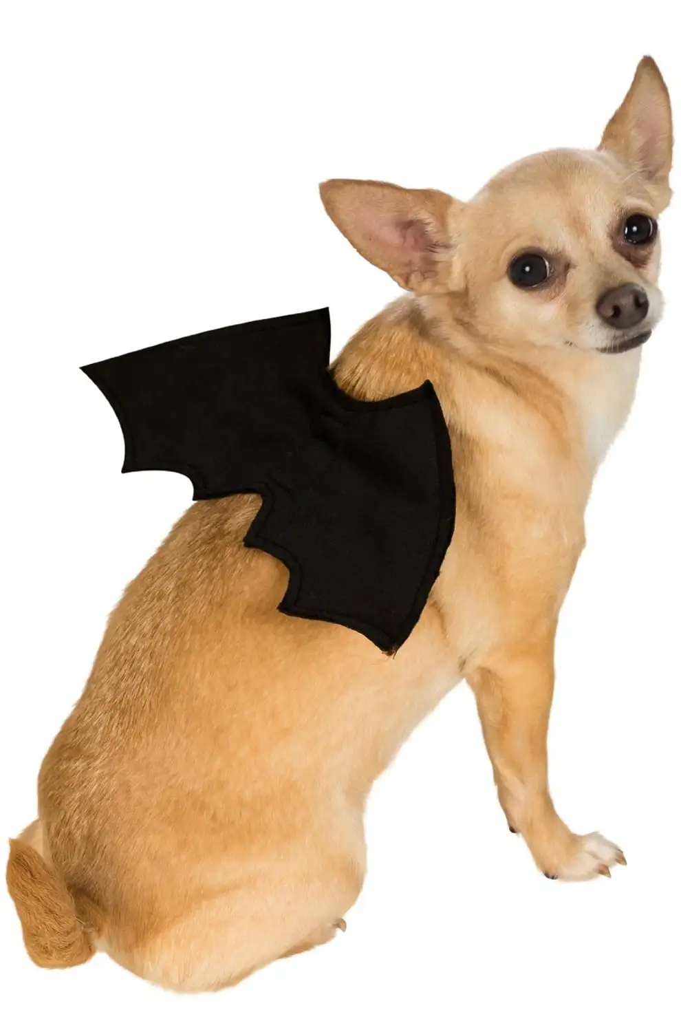 Bat Wings Pet Costume