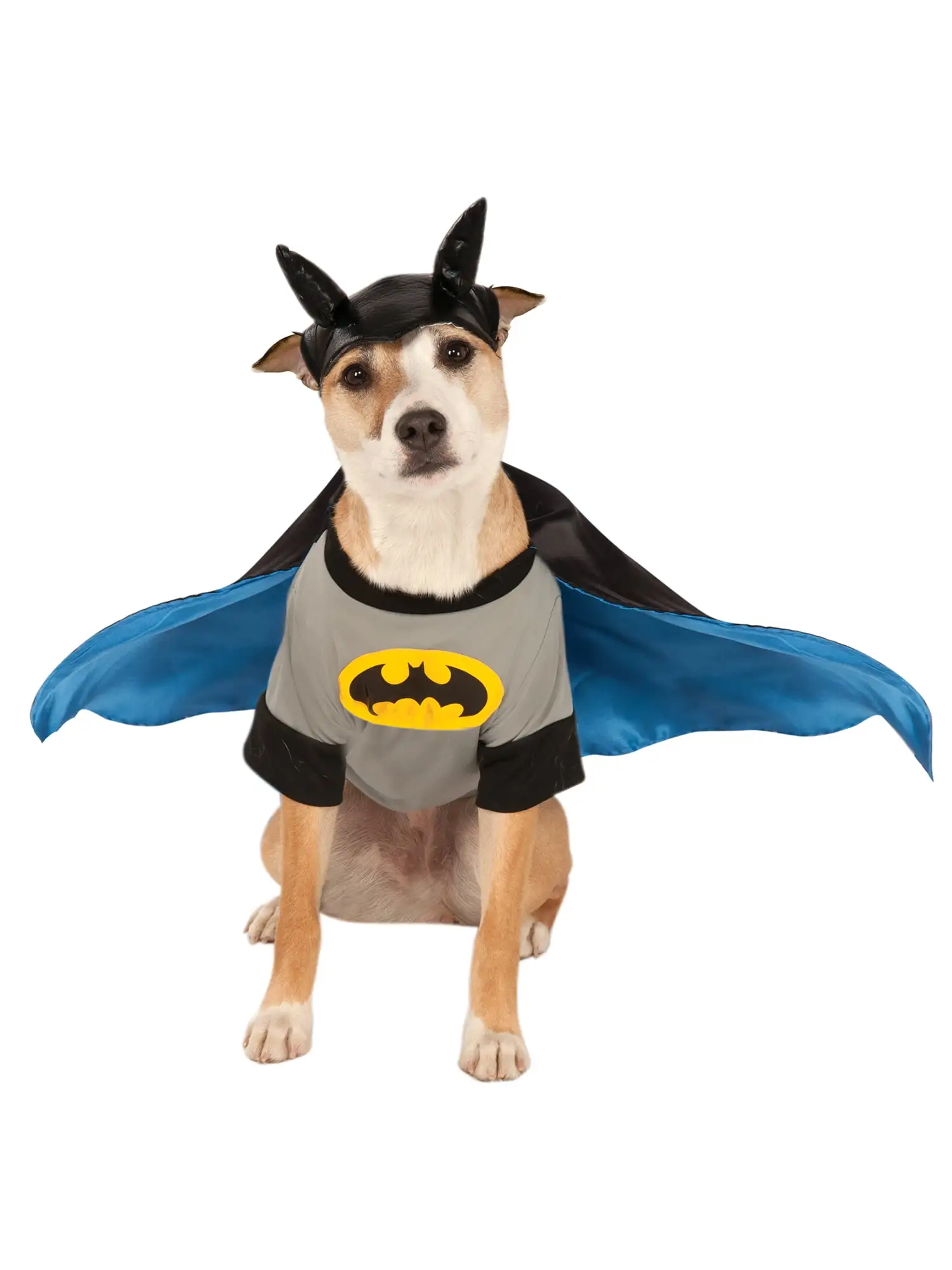 Batman Pet Costume