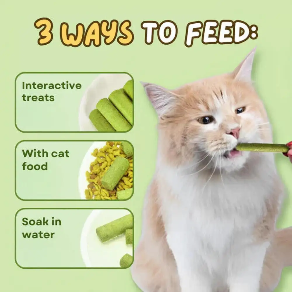 Berdexa Cat Grass Teething Sticks.Berdexa Cat Grass Feeding Stick.For Indoor Cat