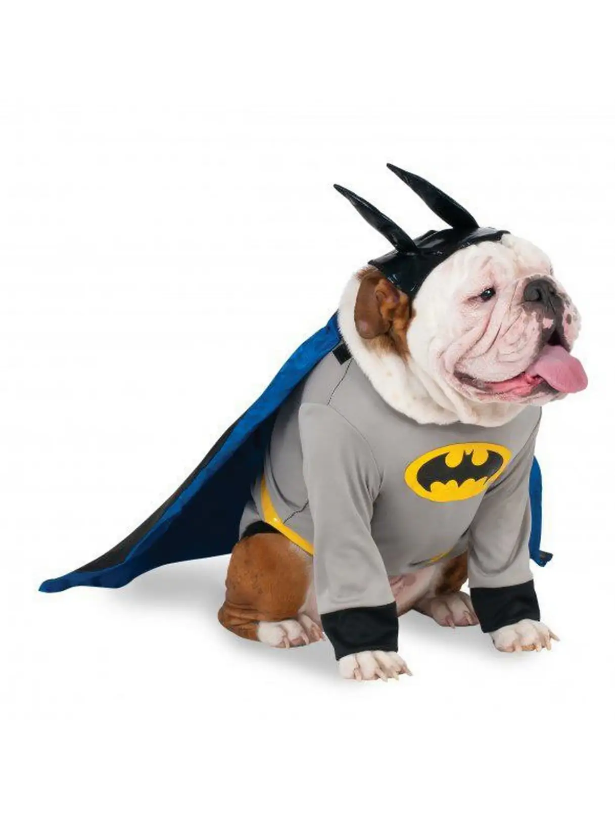 Big Dogs Batman Pet Costume