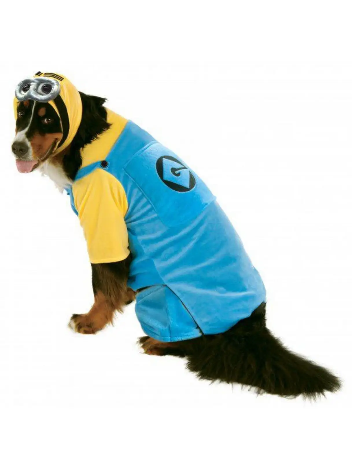 'Big Dogs' Minion Pet Costume