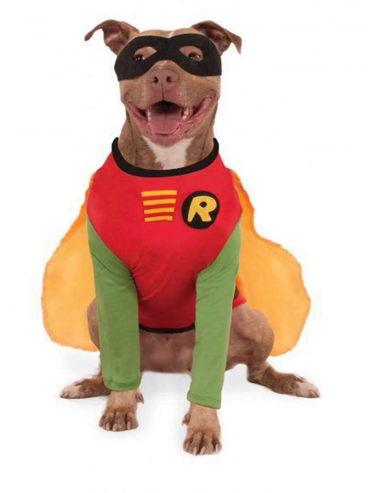 Big Dogs Robin Pet Costume