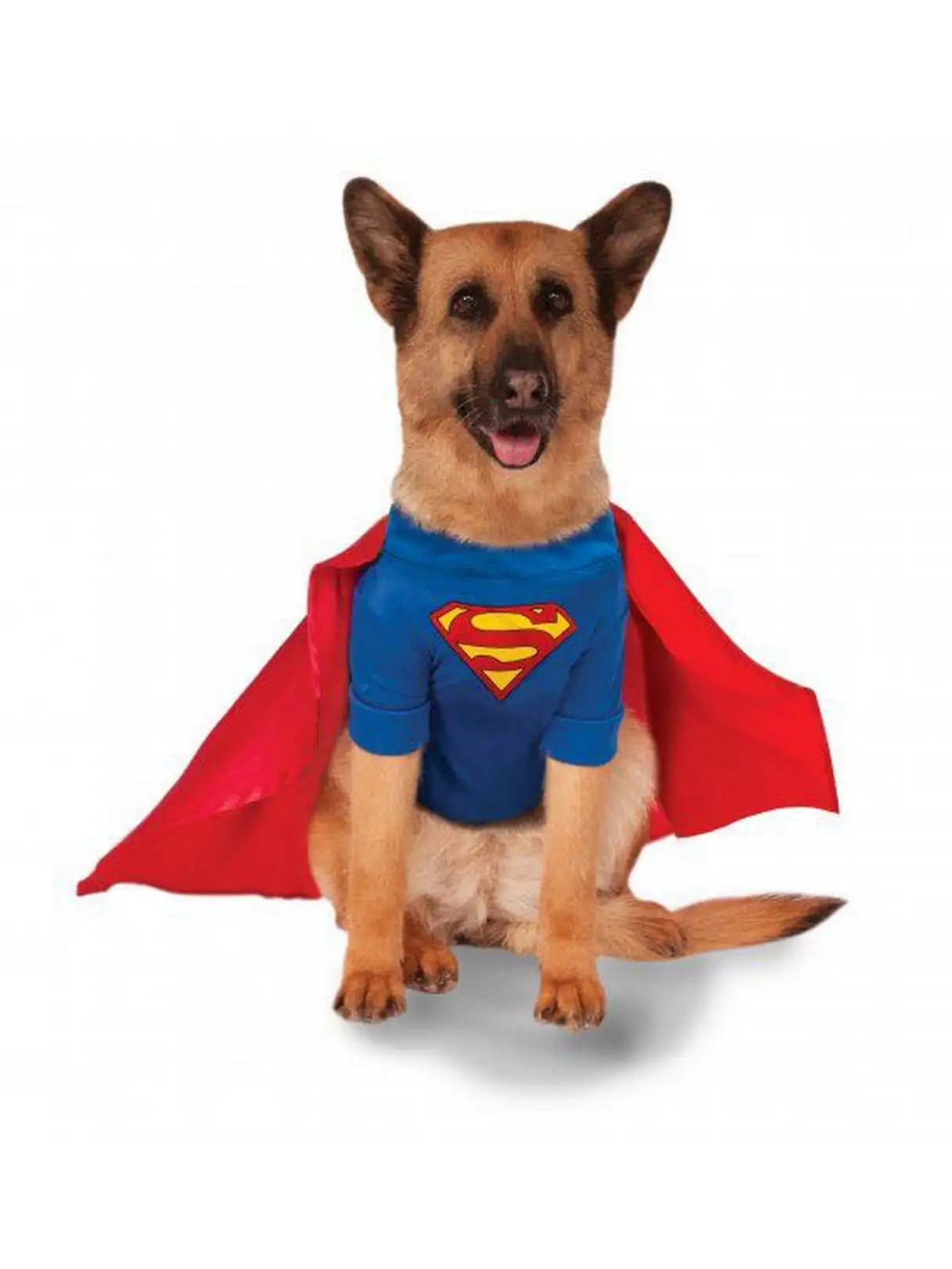 Big Dogs' Superman Pet Costume