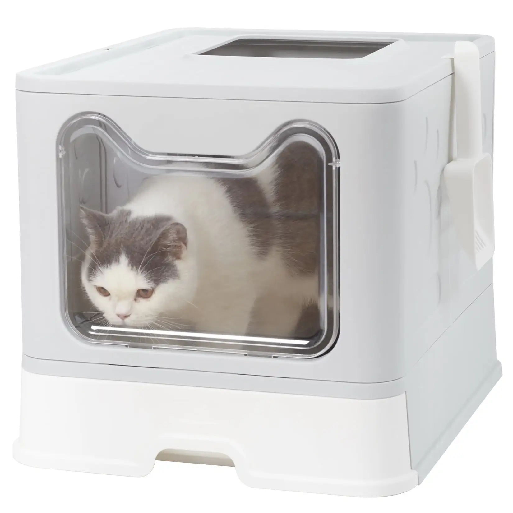 BingoPaw Cat Litter Box Enclosed Kitty Toilet Box with Trays Skylight Door Smelless Large