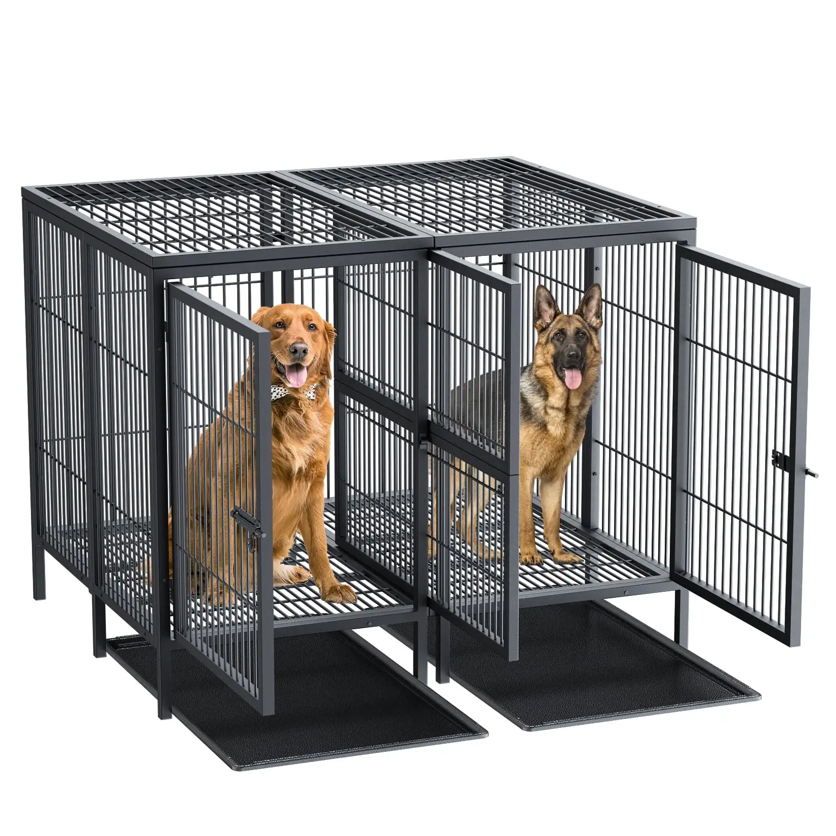 BingoPaw Heavy Duty Metal Dog Crate with Divider & Tray. 51.5L x 39.3W x 39.3H