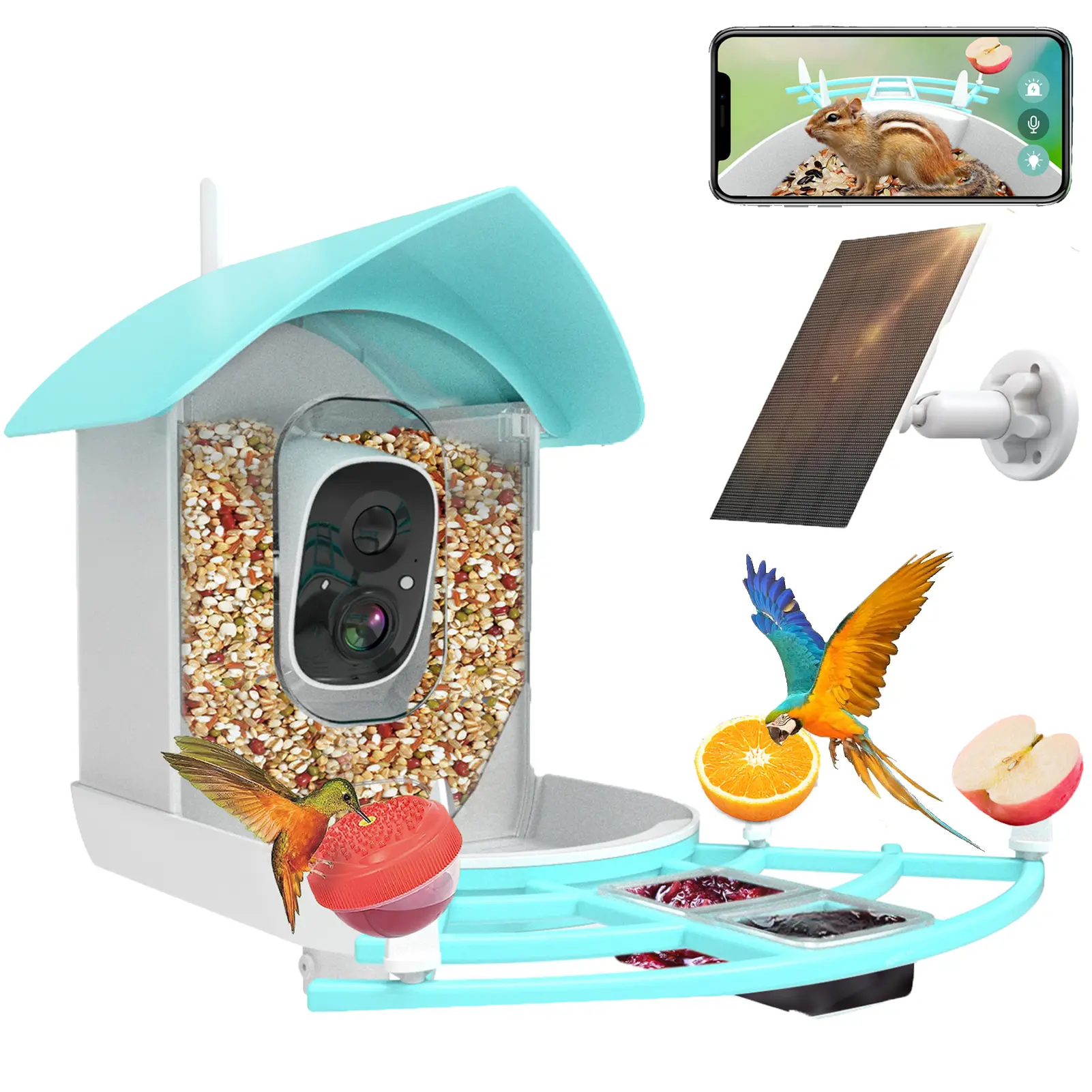 Bird Feeder with Camera. 1080P Smart AI Bird Breed Recognition with Motion Detection & APP Real-Time Notice. Solar Outdoor Feeder Cam for Bird Watching & Bird Lover