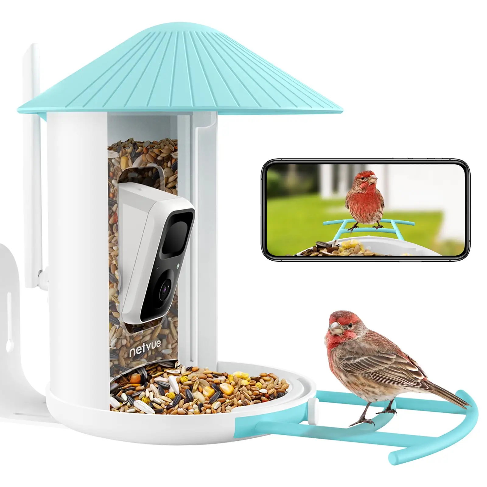 Bird Feeder with Camera. Netvue Birdfy Bird Feeders Outdoor Squirrels Proof for Bird Watching. Blue (Lite)