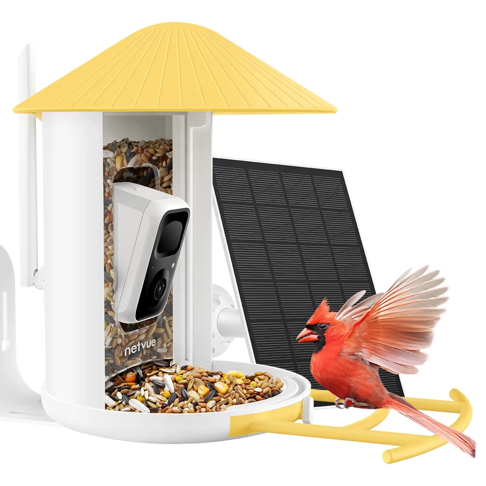 Bird Feeder with Camera. Netvue Birdfy Outdoor Smart Bird Watching Camera with Solar Panel. Yellow(Lite)