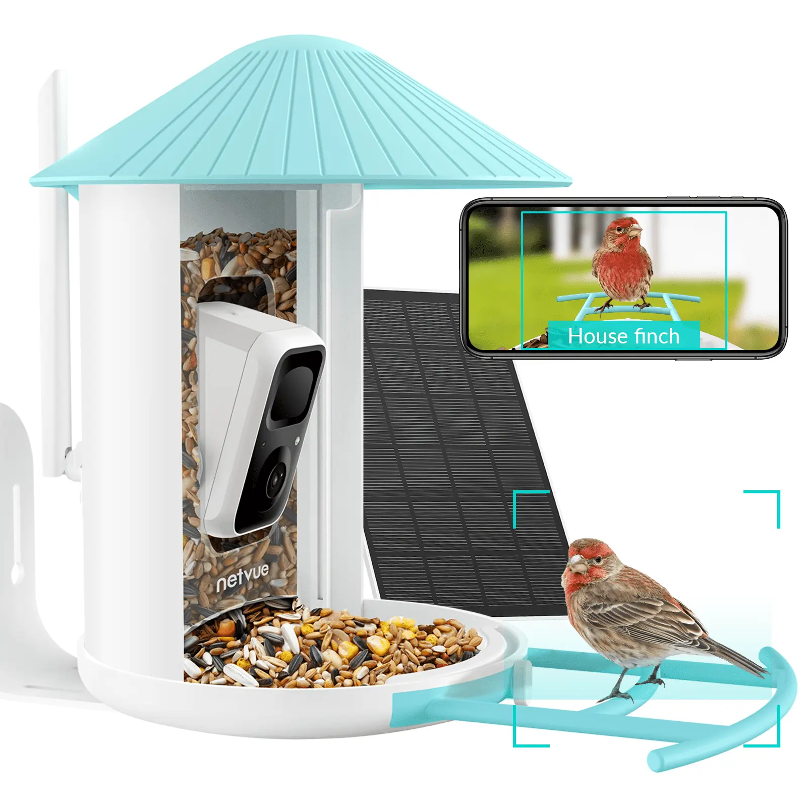 Bird Feeder with Camera. Netvue Birdfy Smart Bird Feeder with Free AI for Bird Watching. Blue