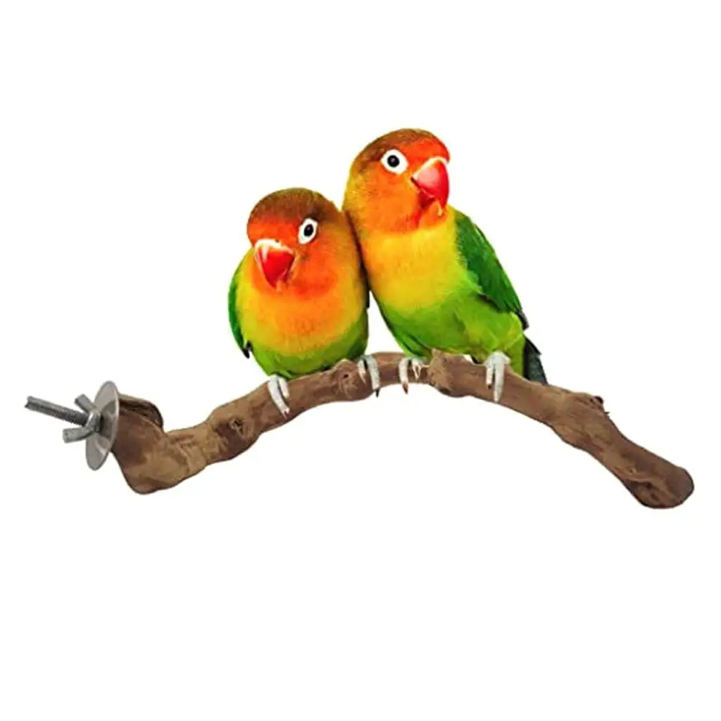 Bird Perch Natural Grapevines Bar Standing Branch Cage Snuggle Wooden Toy