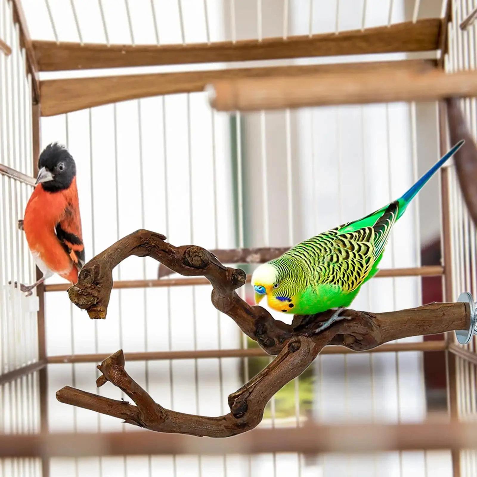 Bird Perch Stick Bird Standing Stick Swing Chewing Bird Toys Natural Grapevine Bird Cage Perch for Parrot Cages Toy for Cockatiels. Parakeets. Finches Two Branches