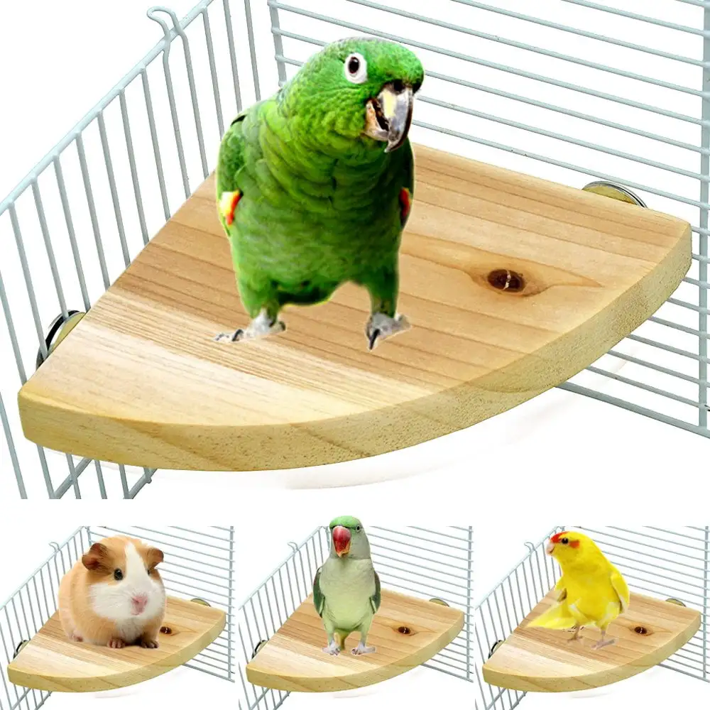 Bird Wood Perch Stand Platform Shelf Stand Board for Budgie Parakeet Cockatiel Hamster Gerbil Rat Chinchillas Guinea Pig