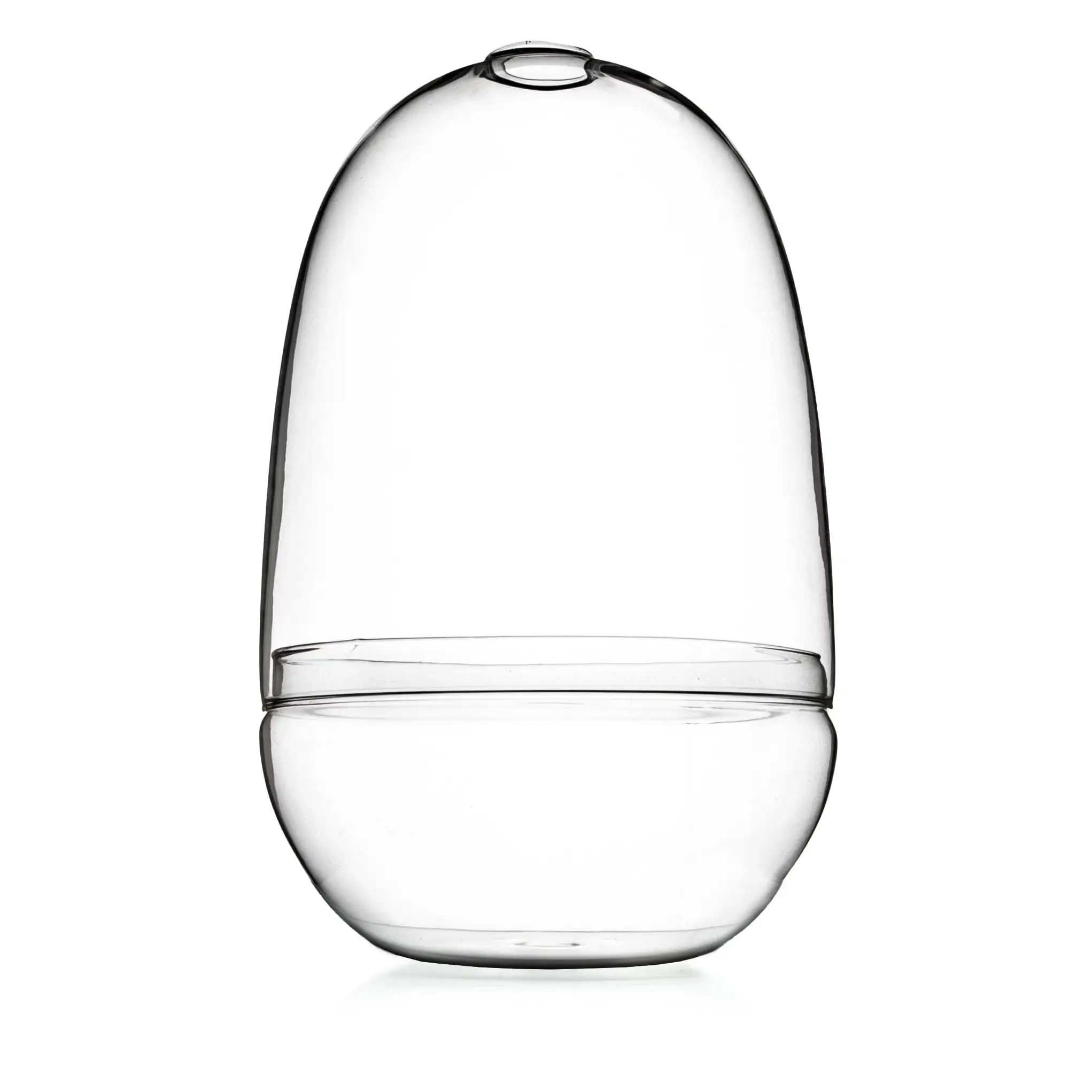 Bloomingville Large Egg Shaped Glass Terrarium. Clear