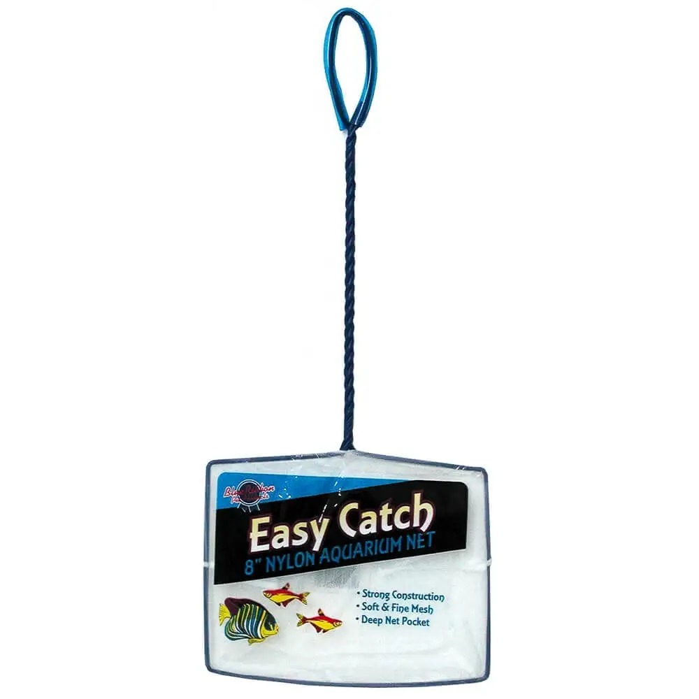 Blue Ribbon Easy Catch Fine Mesh Fish Net