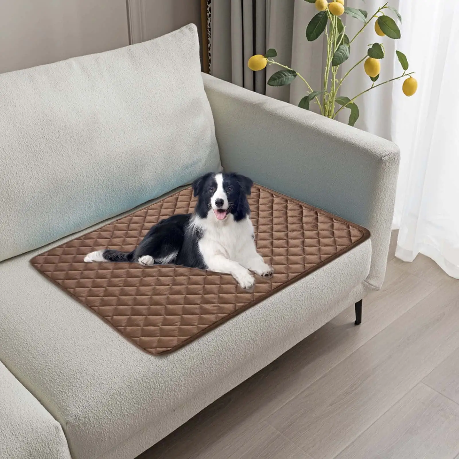 Blulids Dog Cooling Mat Breathable Self Cooling Blanket 19.6??15.7. Washable Cooling Mat for Dogs Cats. Dog Crater Mat Kennel Pad for Sleeping Keeps Pets Cool in Summer Heat Pet Supplies