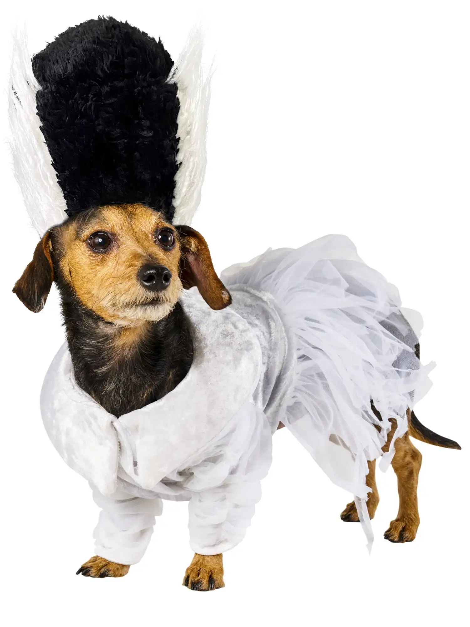 Bride Of Frankenstein Pet Costume