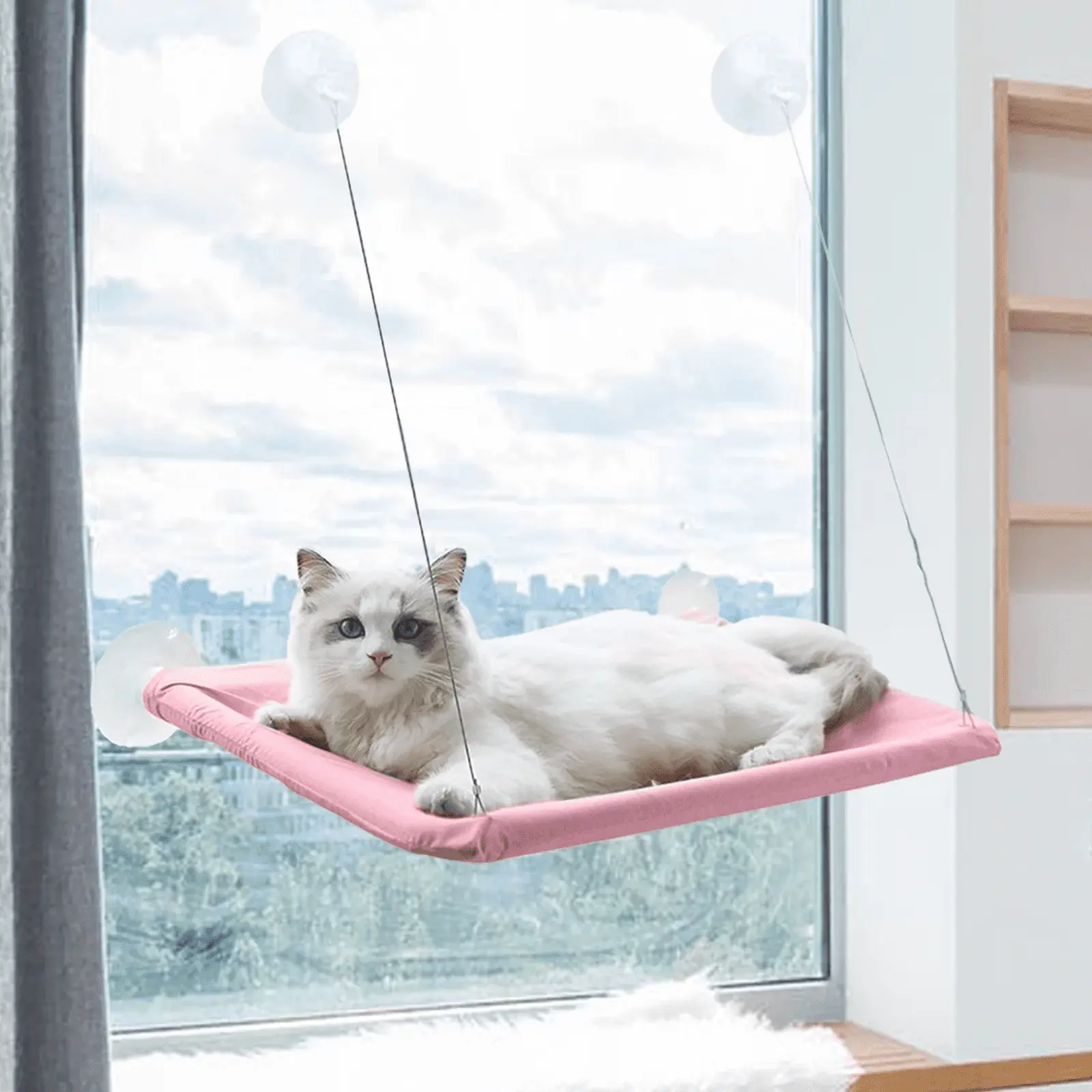 Brother Teddy Cat Hammock Perch Window Foldable Bed Window Sill Seat Cordless Lounger Kitten Shelves with Sturdy Suction Cups for Large Cats Pink 13.78X21.65