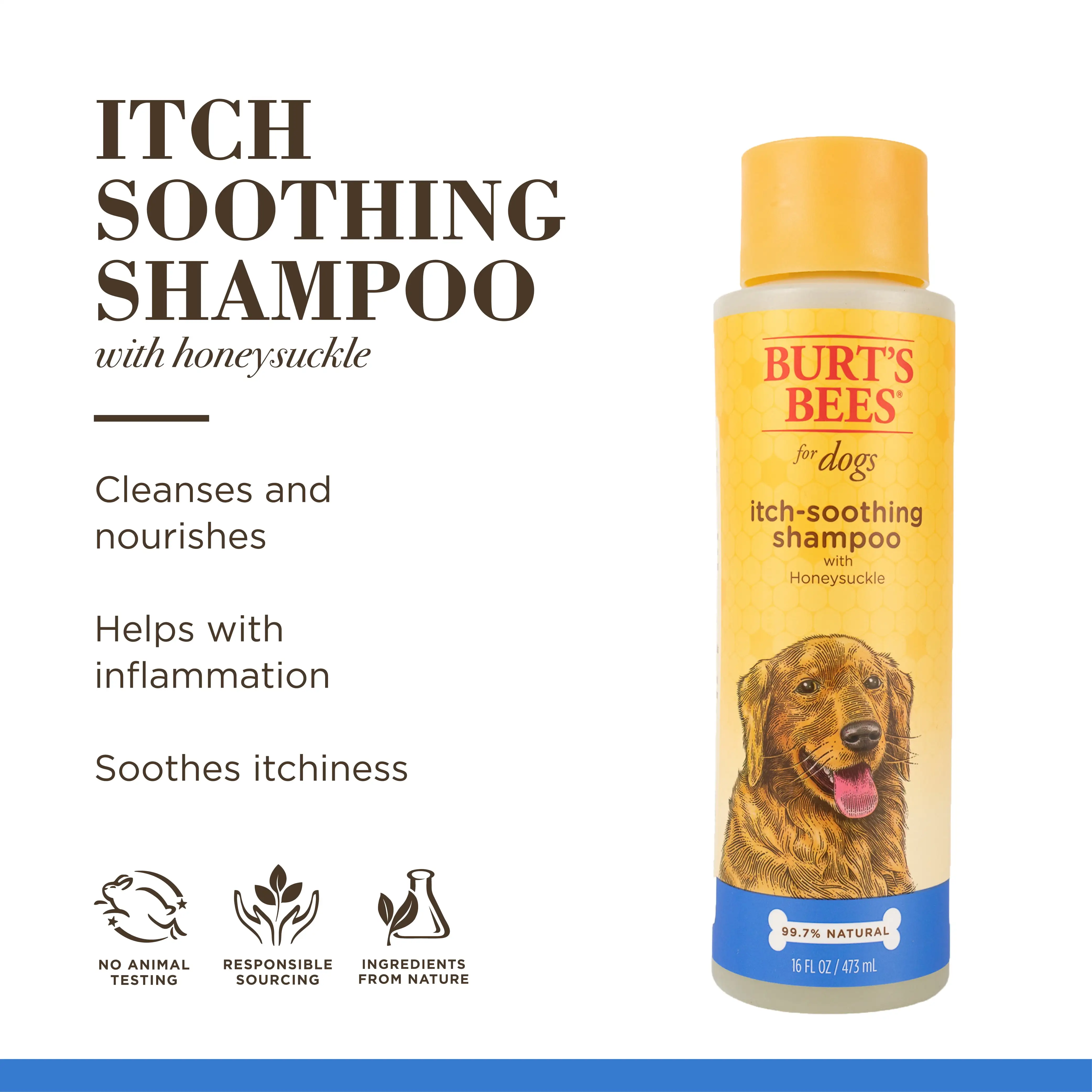 Burt's Bees Natural Pet Care Itch Soothing Shampoo with Honeysuckle for Dogs. 16 oz.