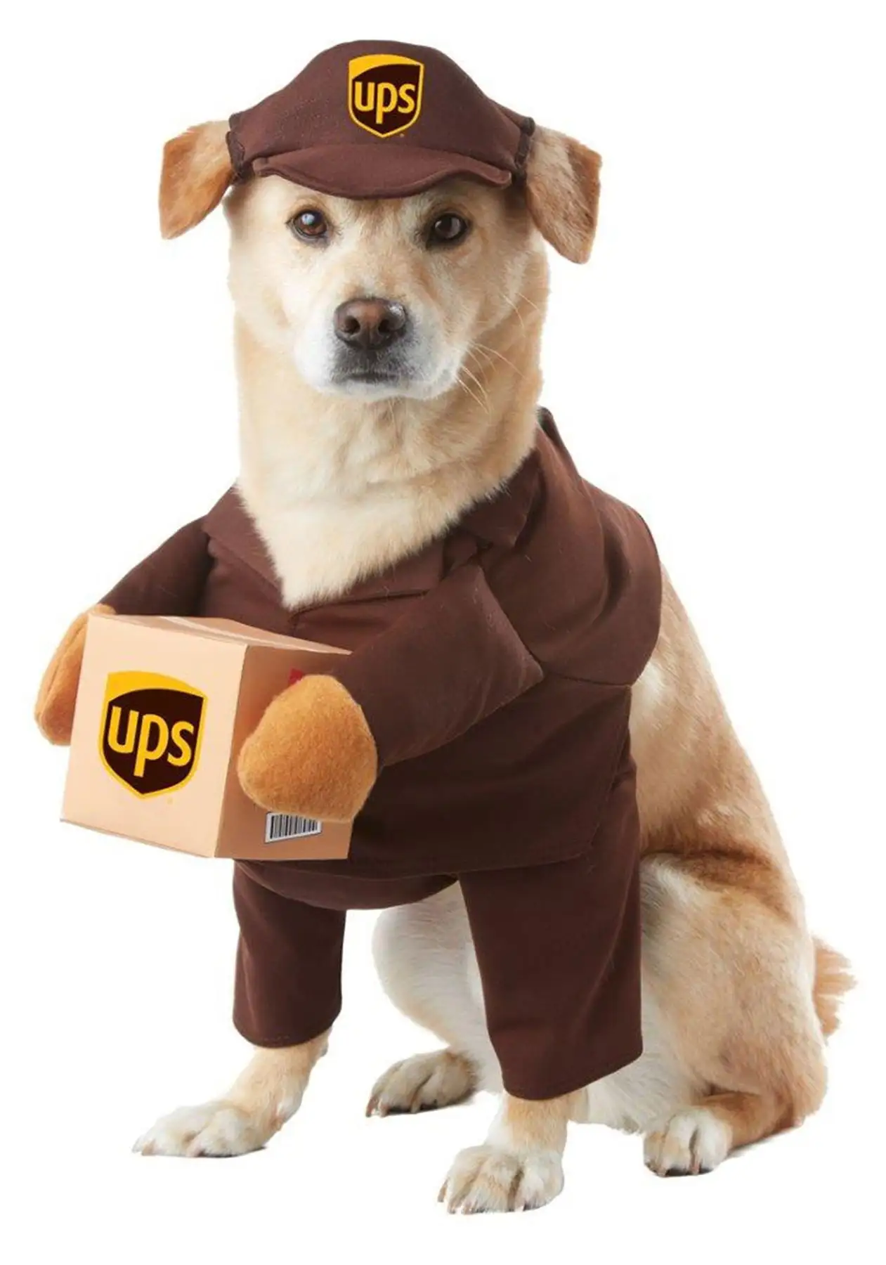 California Costumes Brown UPS Pal Dog Costume. Large