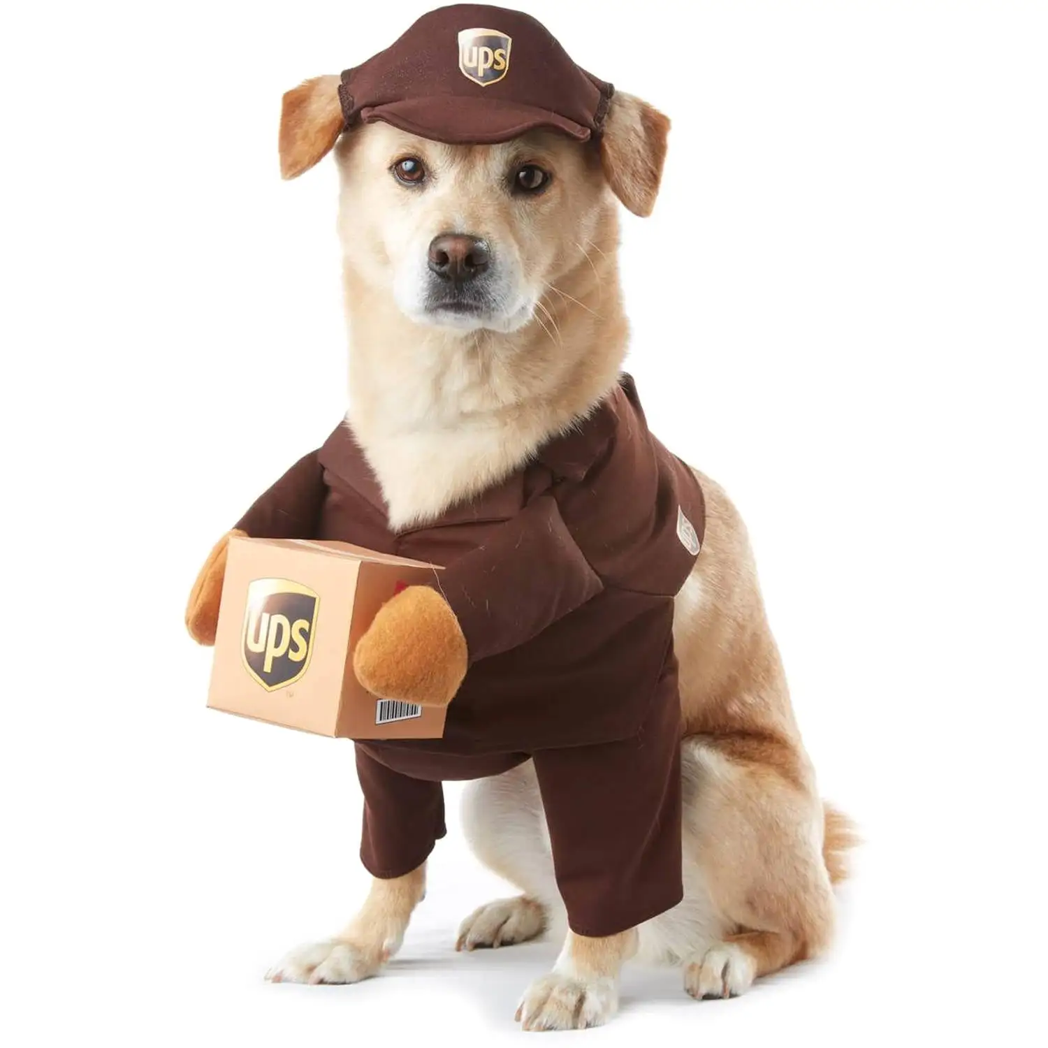 California Costumes Brown UPS Pal Dog Costume. Medium