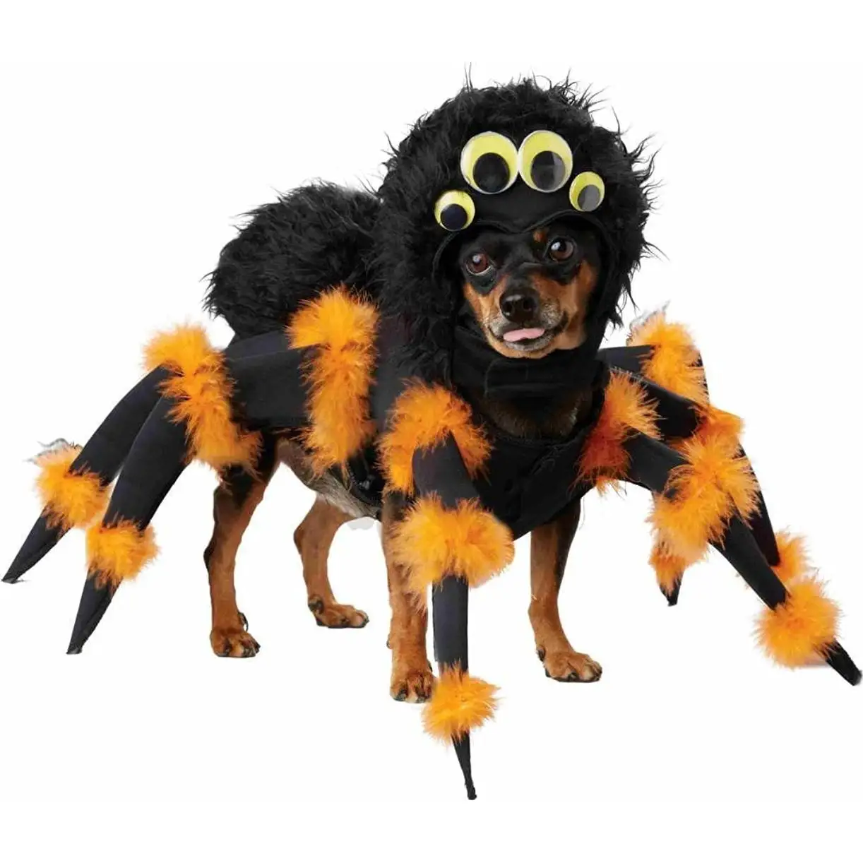 California Costumes CC20149MD Spider Pup Dog Costume