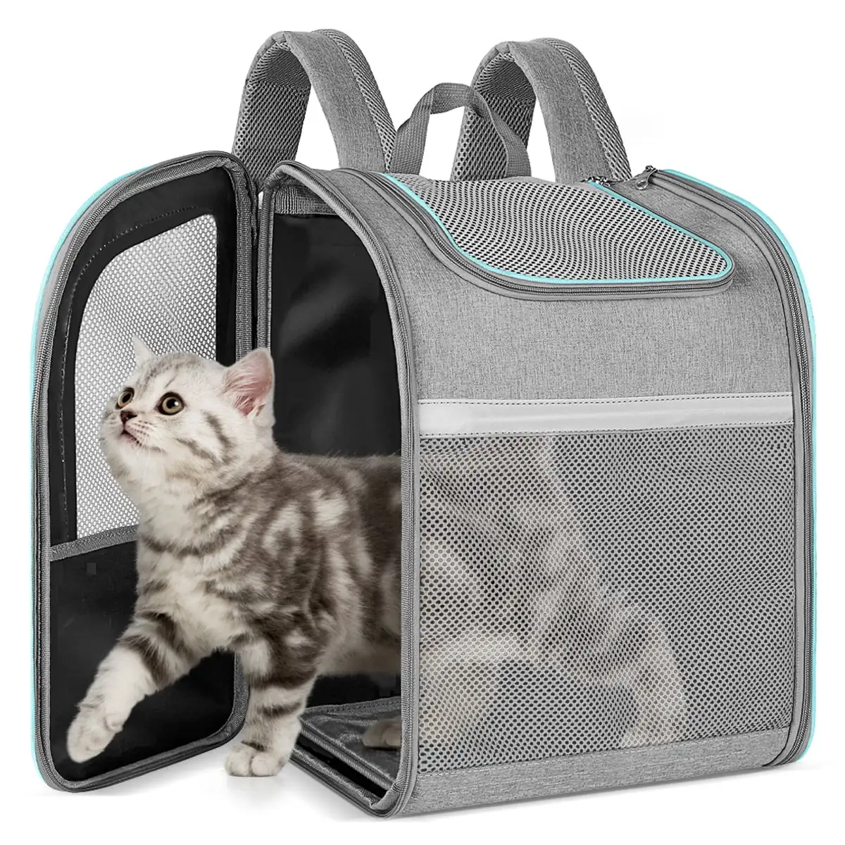 Cat Backpack Carrier. CshidWorld Foldable Dog Backpack Carrier for Small Cats and Dogs. Ventilated Design Pet Carrier Backpack with Inner Safety Strap. Cushion Back Support for Travel Hiking Camping